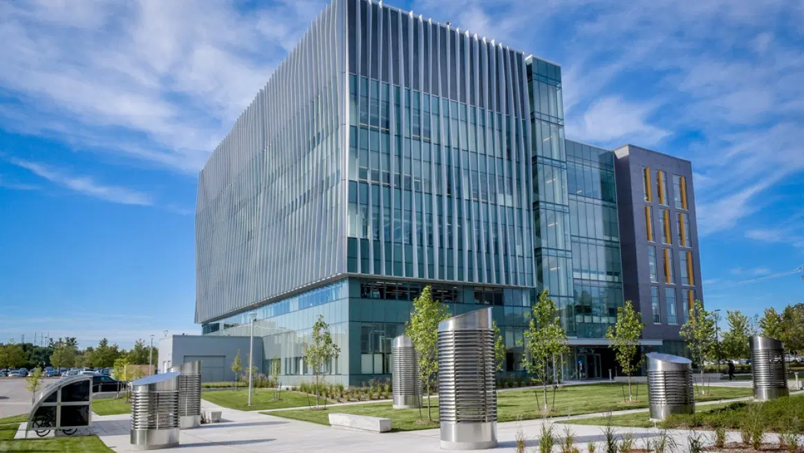 University of Toronto (Scarborough)