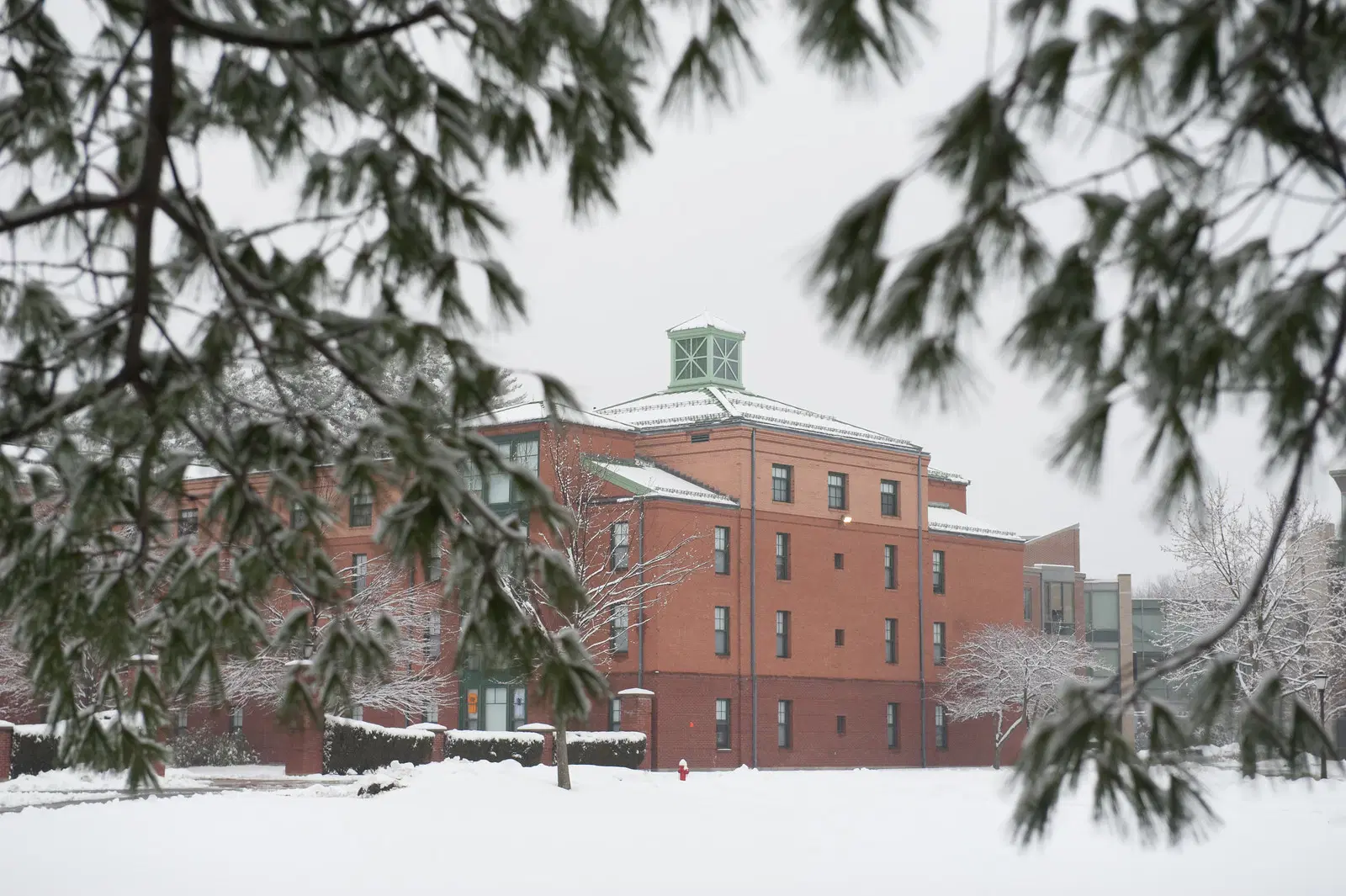 Westfield State University