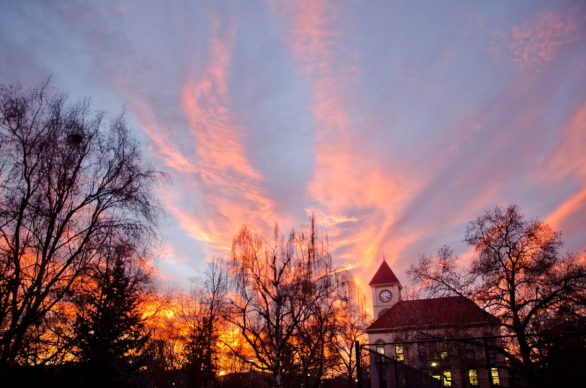 Whitman College