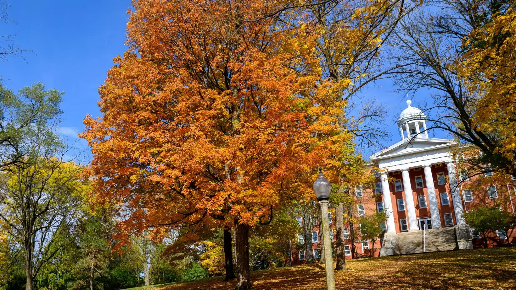 Wittenberg University
