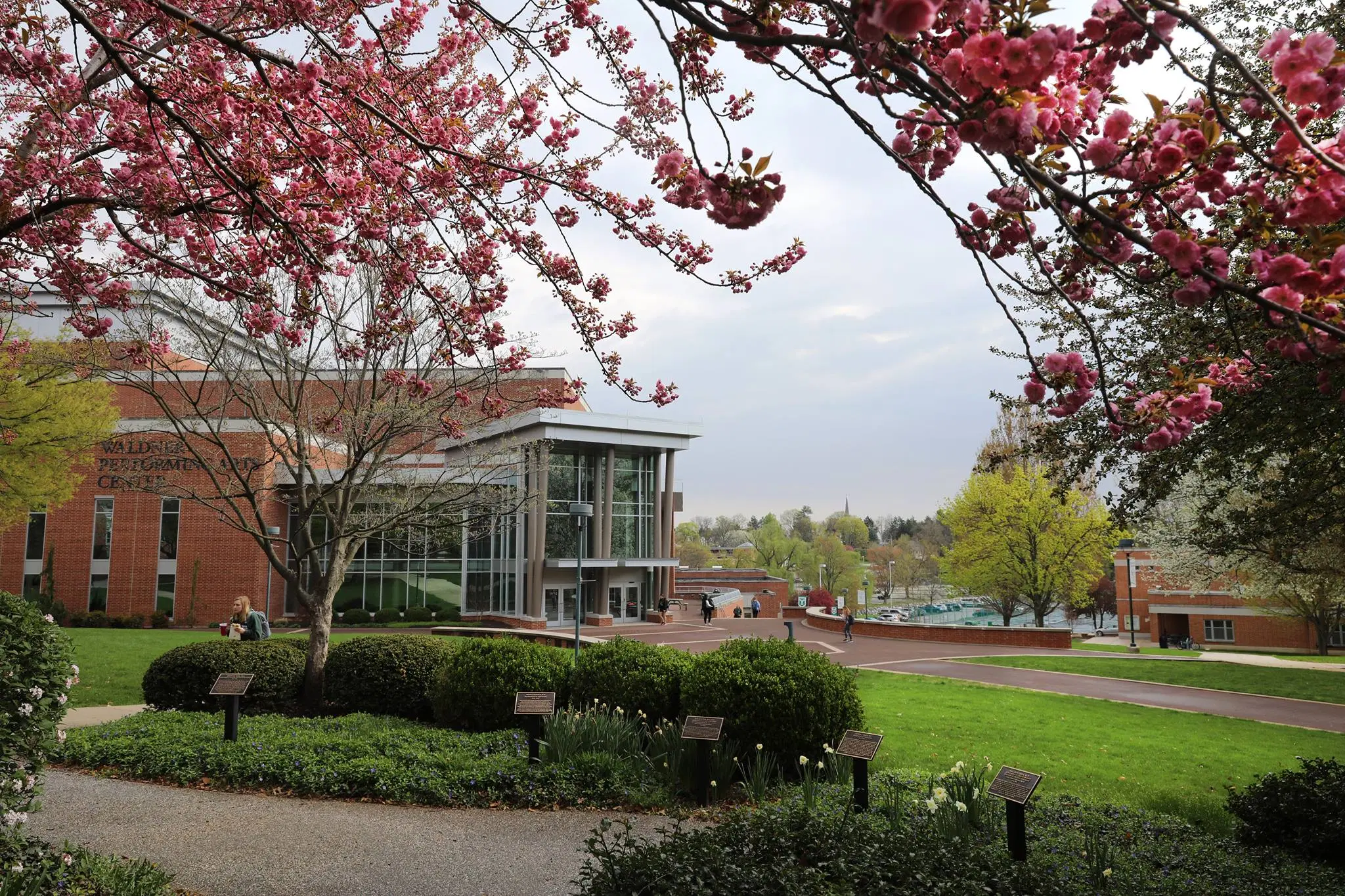 York College of Pennsylvania