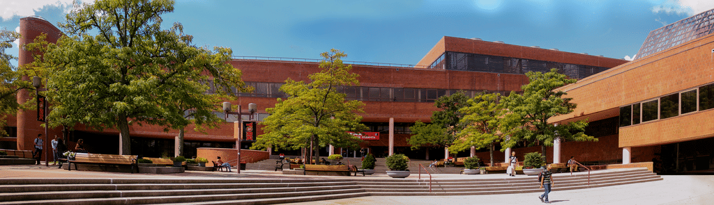 York College