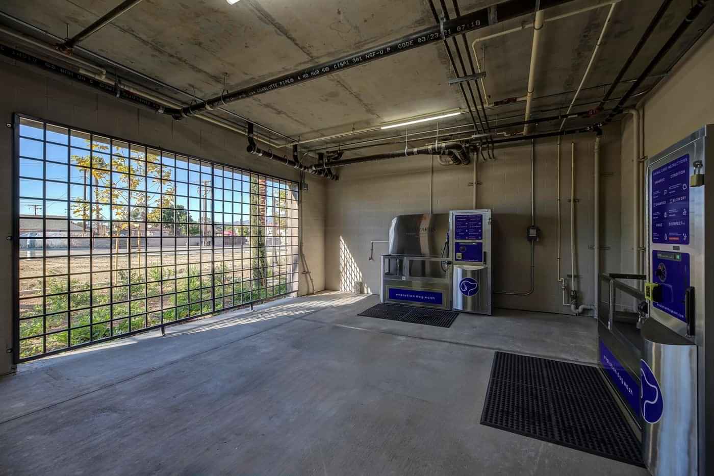 Vineyards, Ontario - 2