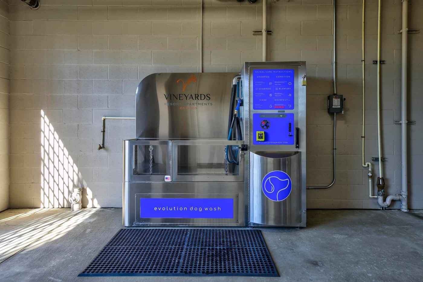 Vineyards, Ontario - 3