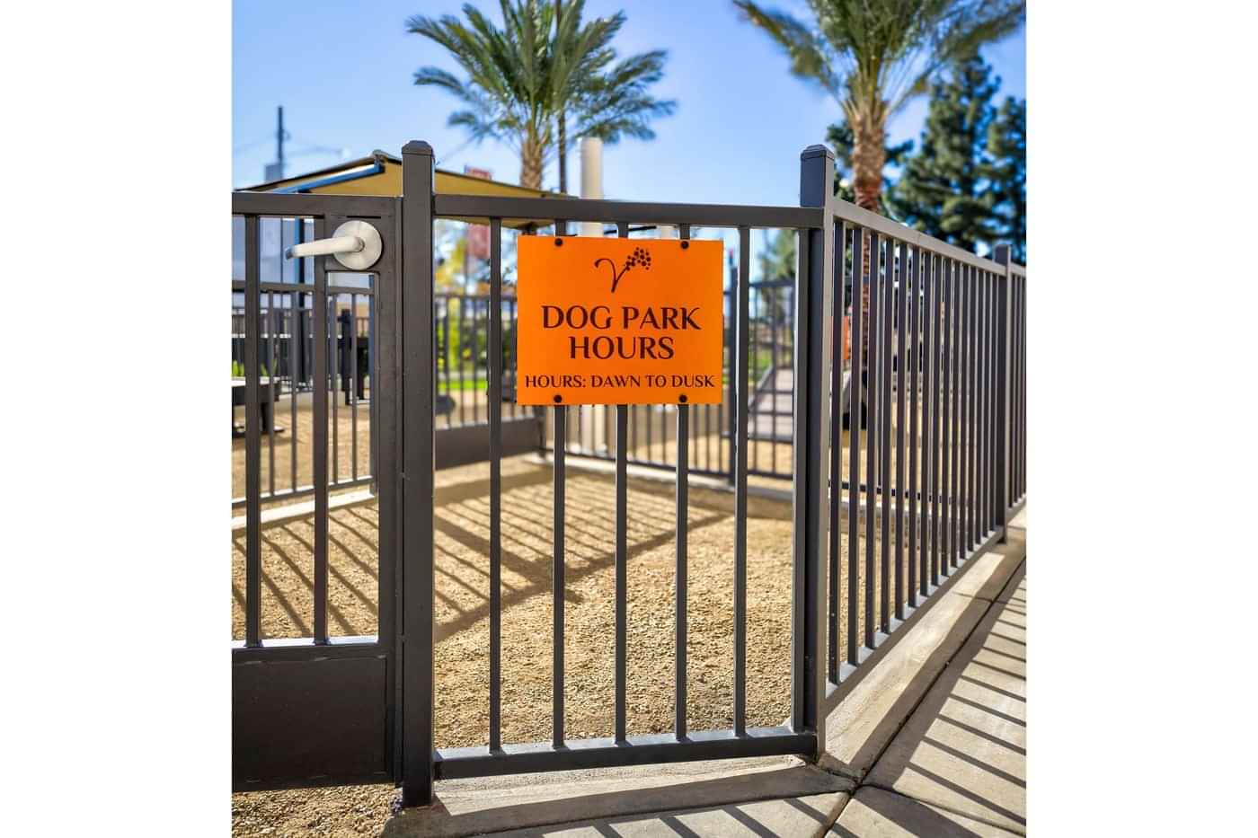 Vineyards, Ontario - 4