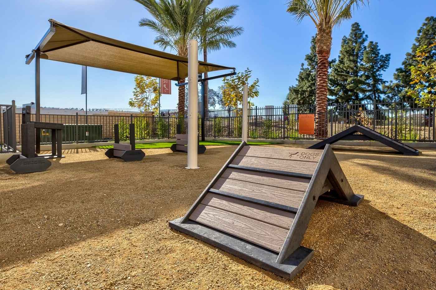 Vineyards, Ontario - 5