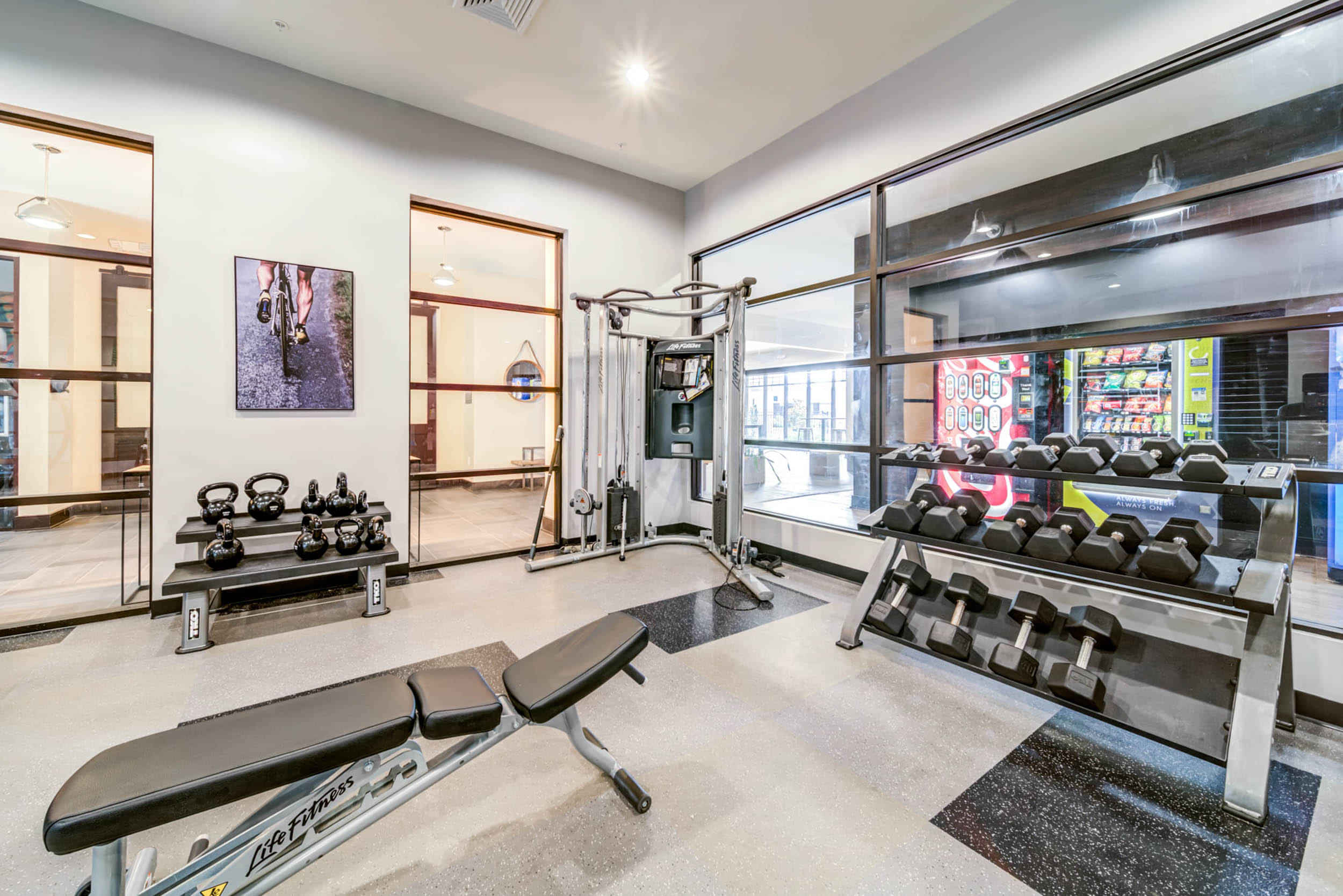 University Edge Dickinson Lofts, Greenville - 3