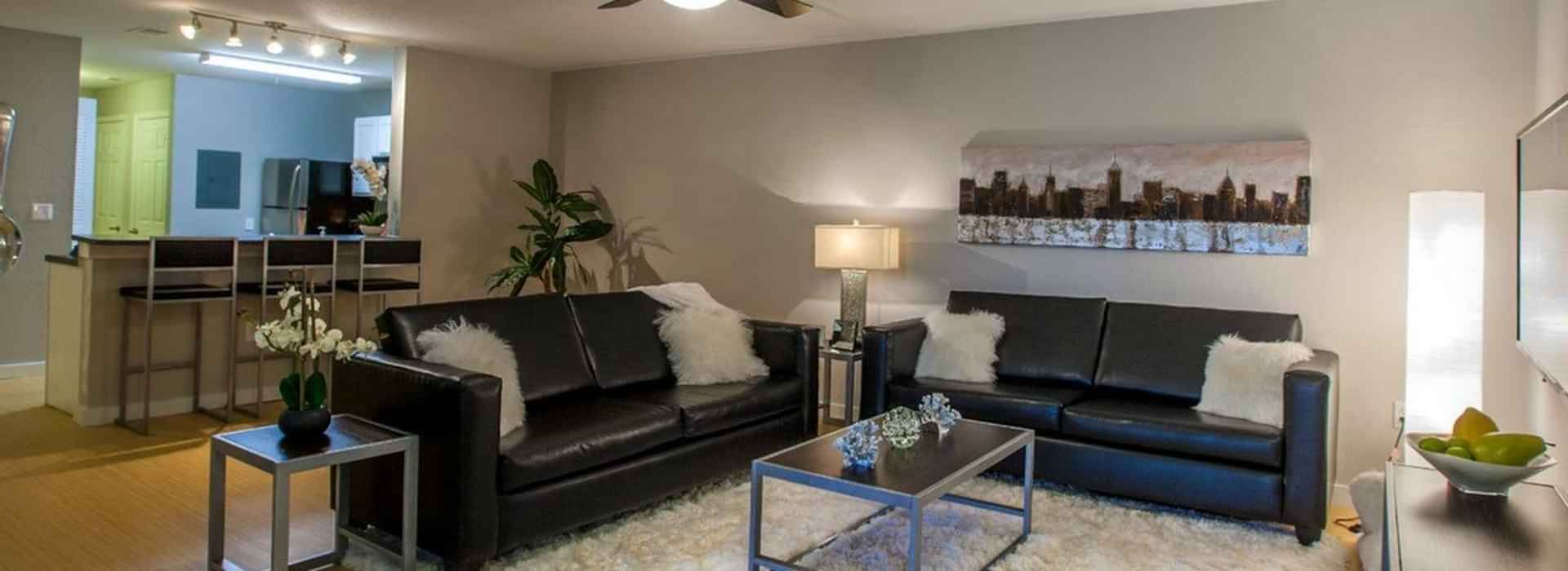 The Boulevard, Tallahassee - 2