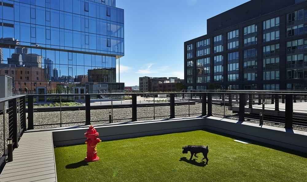 The Nolo, Seattle - 3