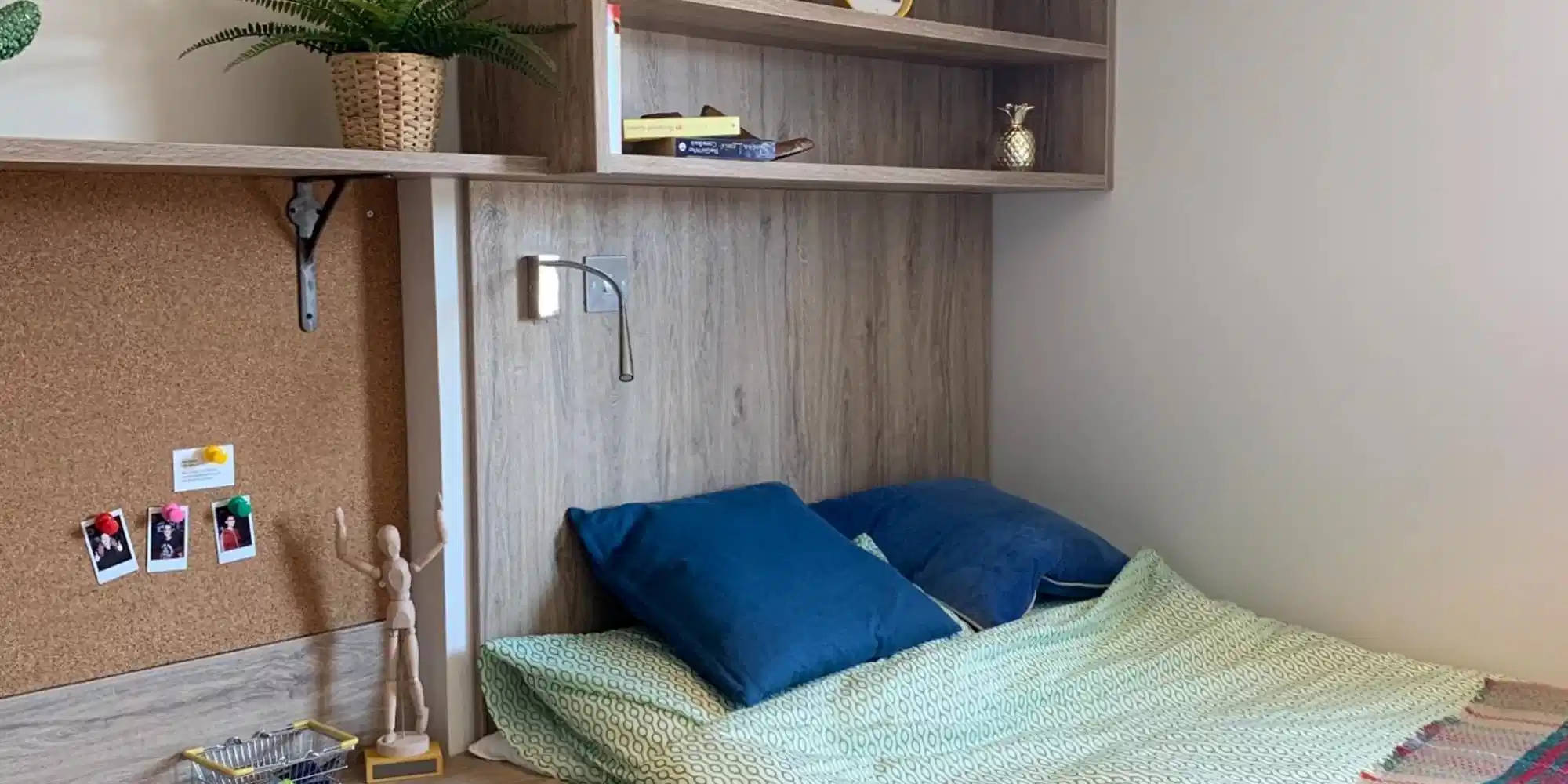 Cardiff Lime, Cardiff - 1