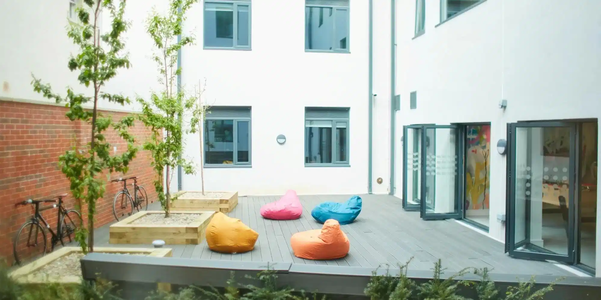 Exeter Elm, Exeter - 3