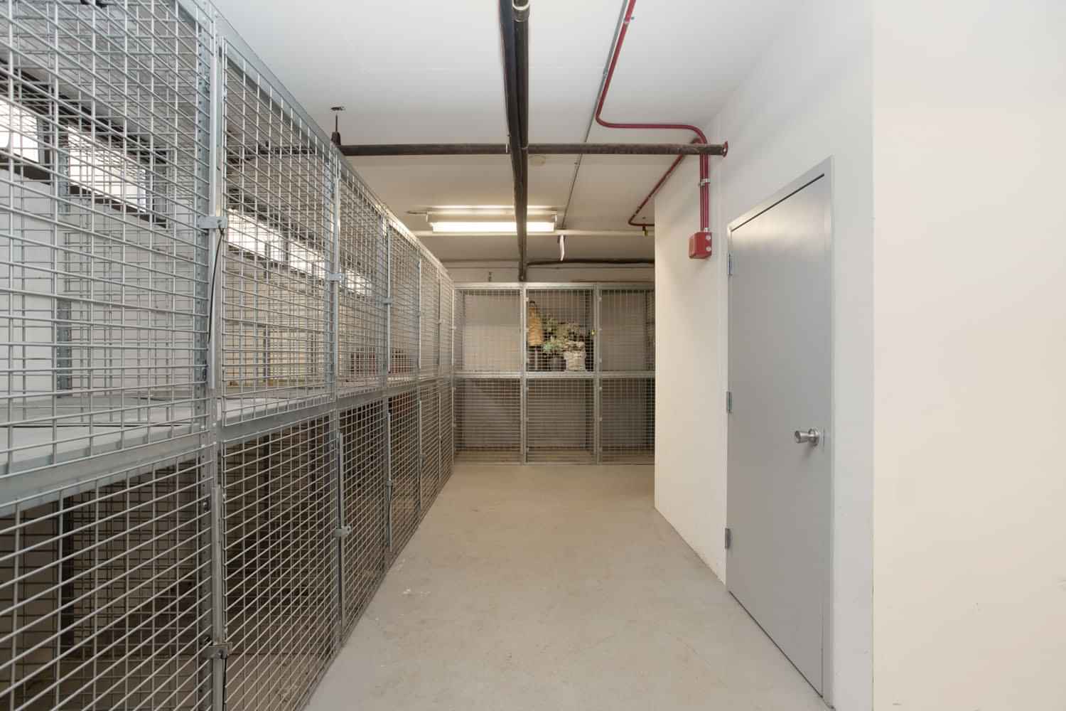 Algonquin Apartments, Chicago - 4