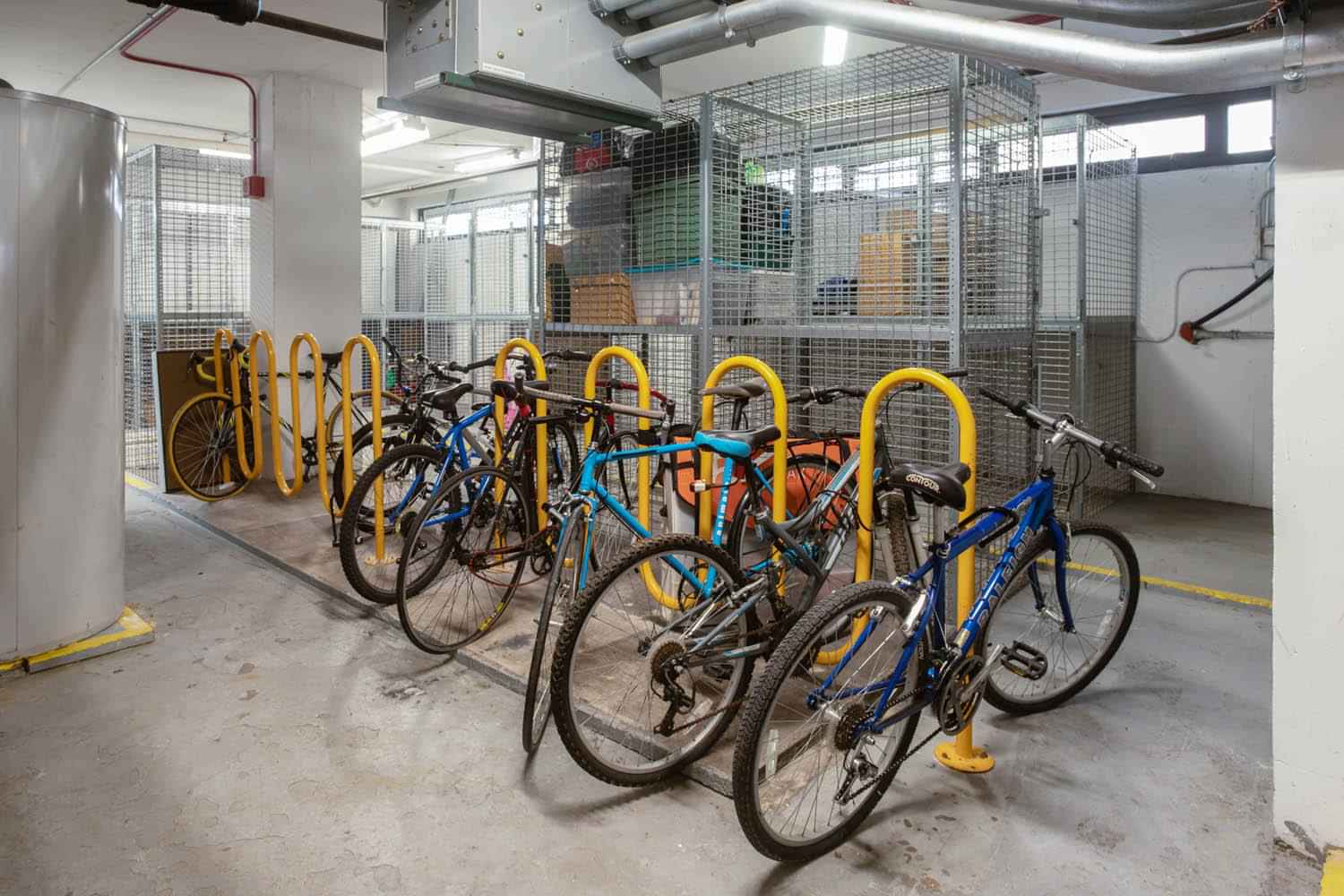 Algonquin Apartments, Chicago - 5