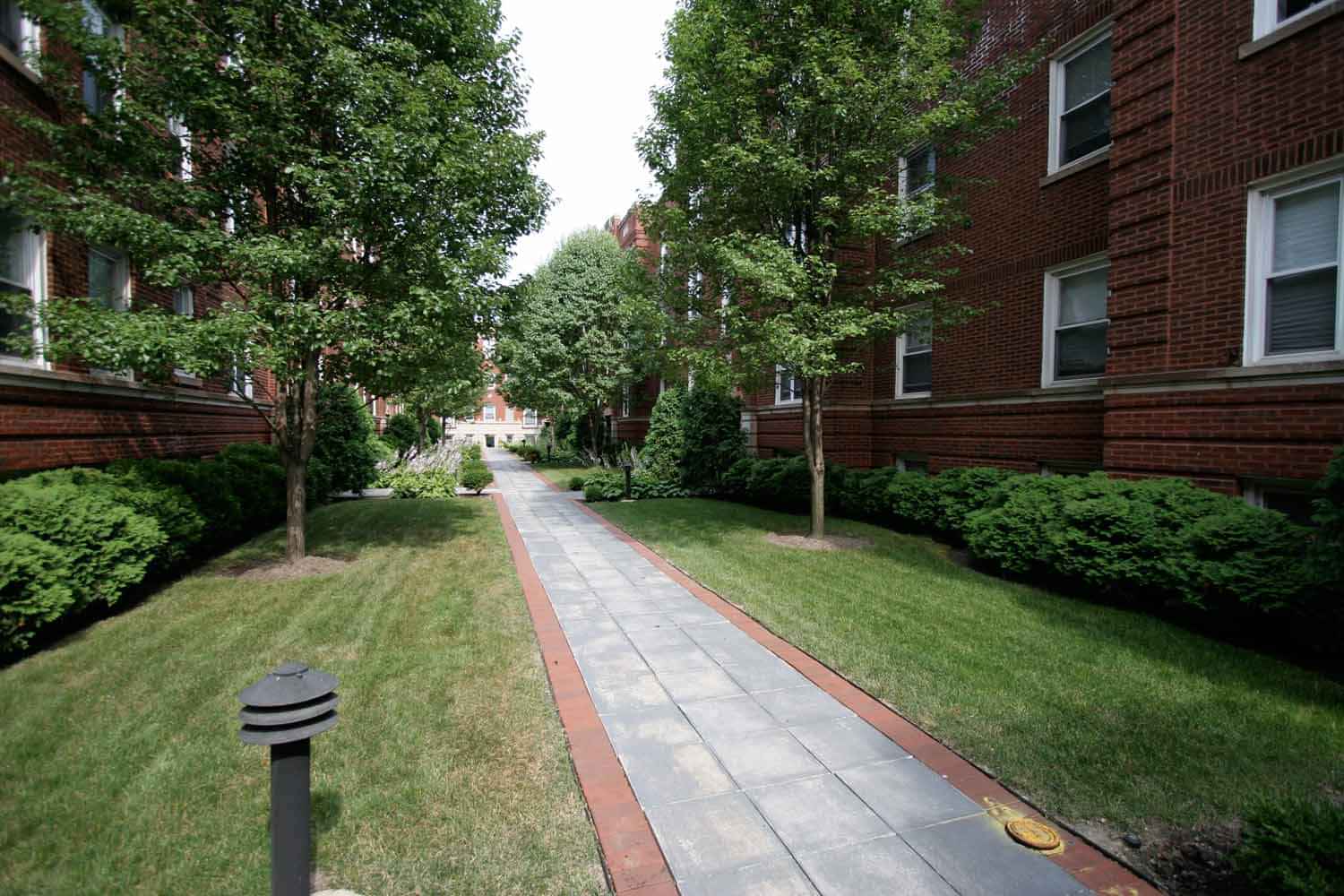 4721 S. Ellis Avenue, Chicago - 3