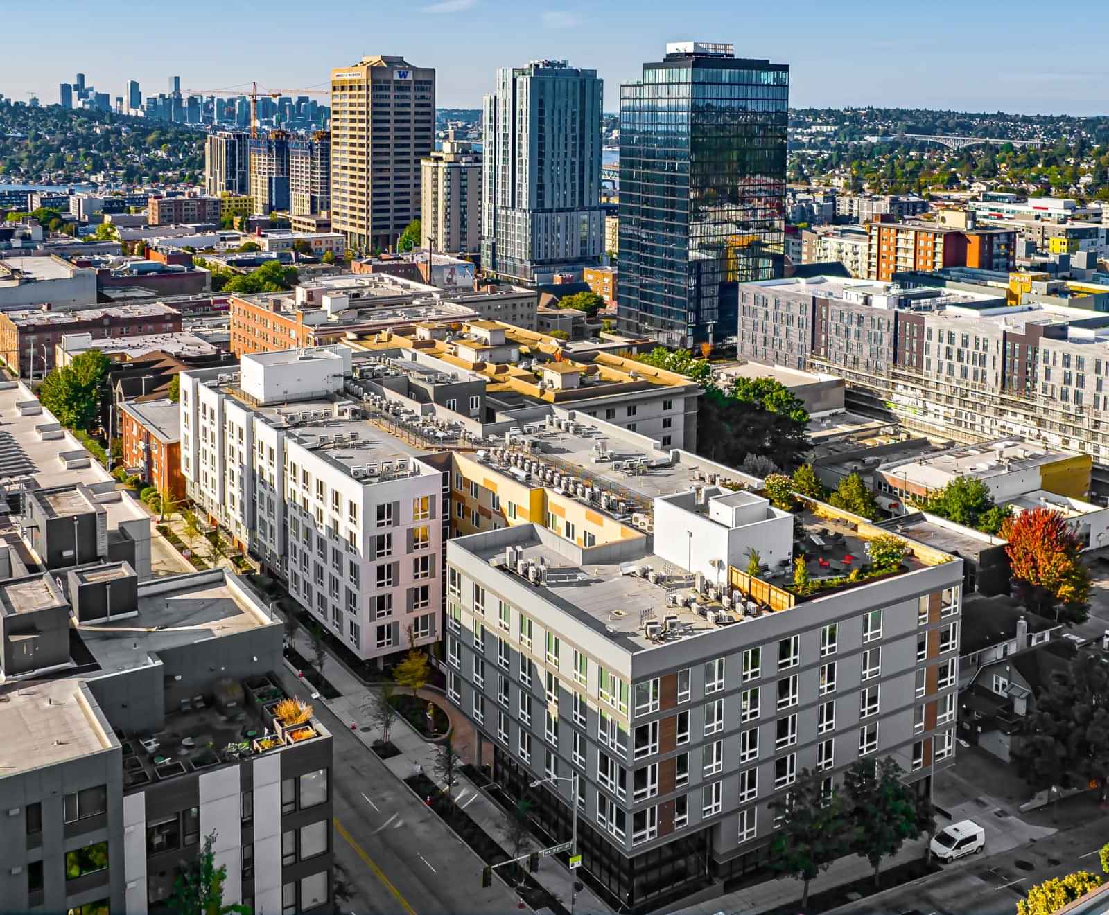 Theory U District, Seattle - 3