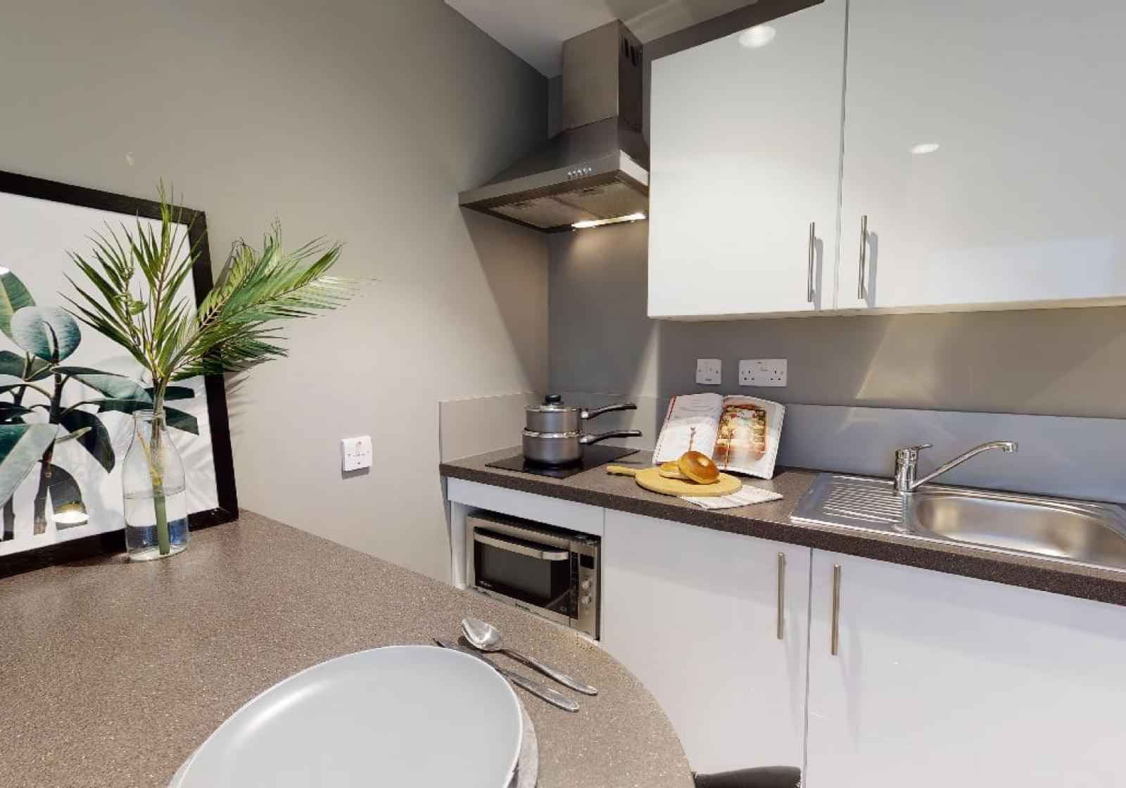 Silver Studio Plus – Studio – Image 2