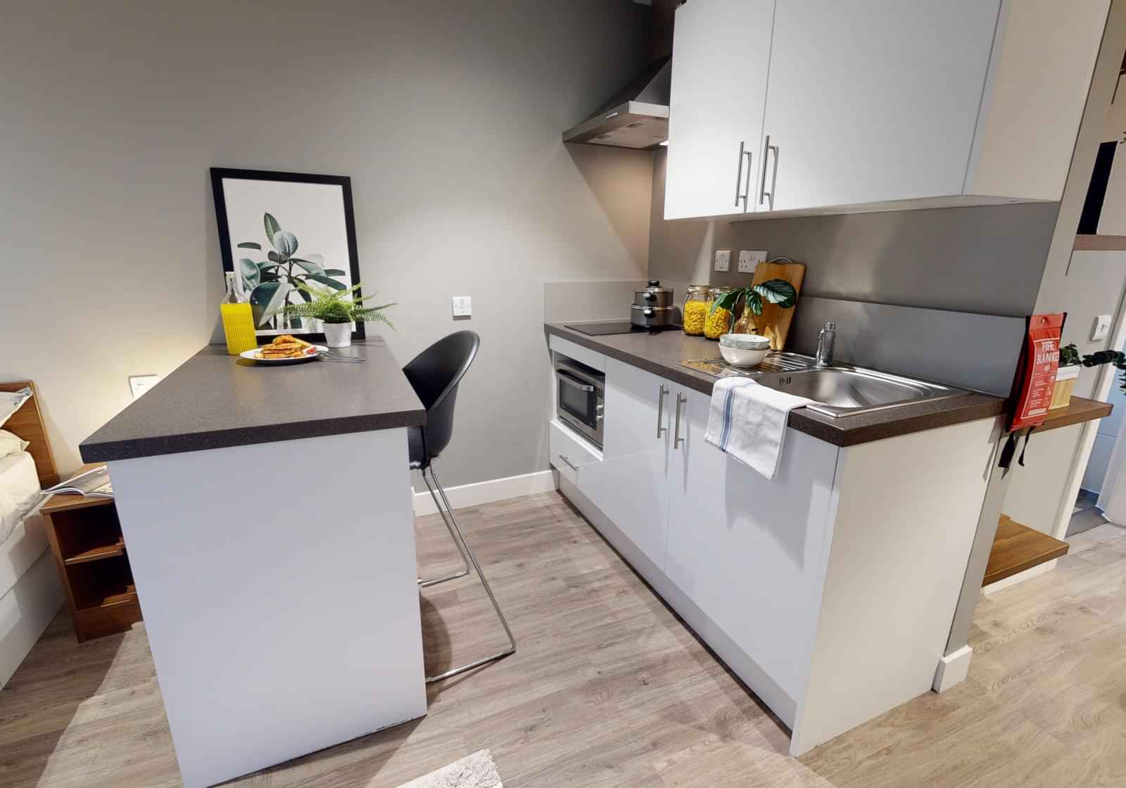 Platinum Studio Plus – Studio – Image 6