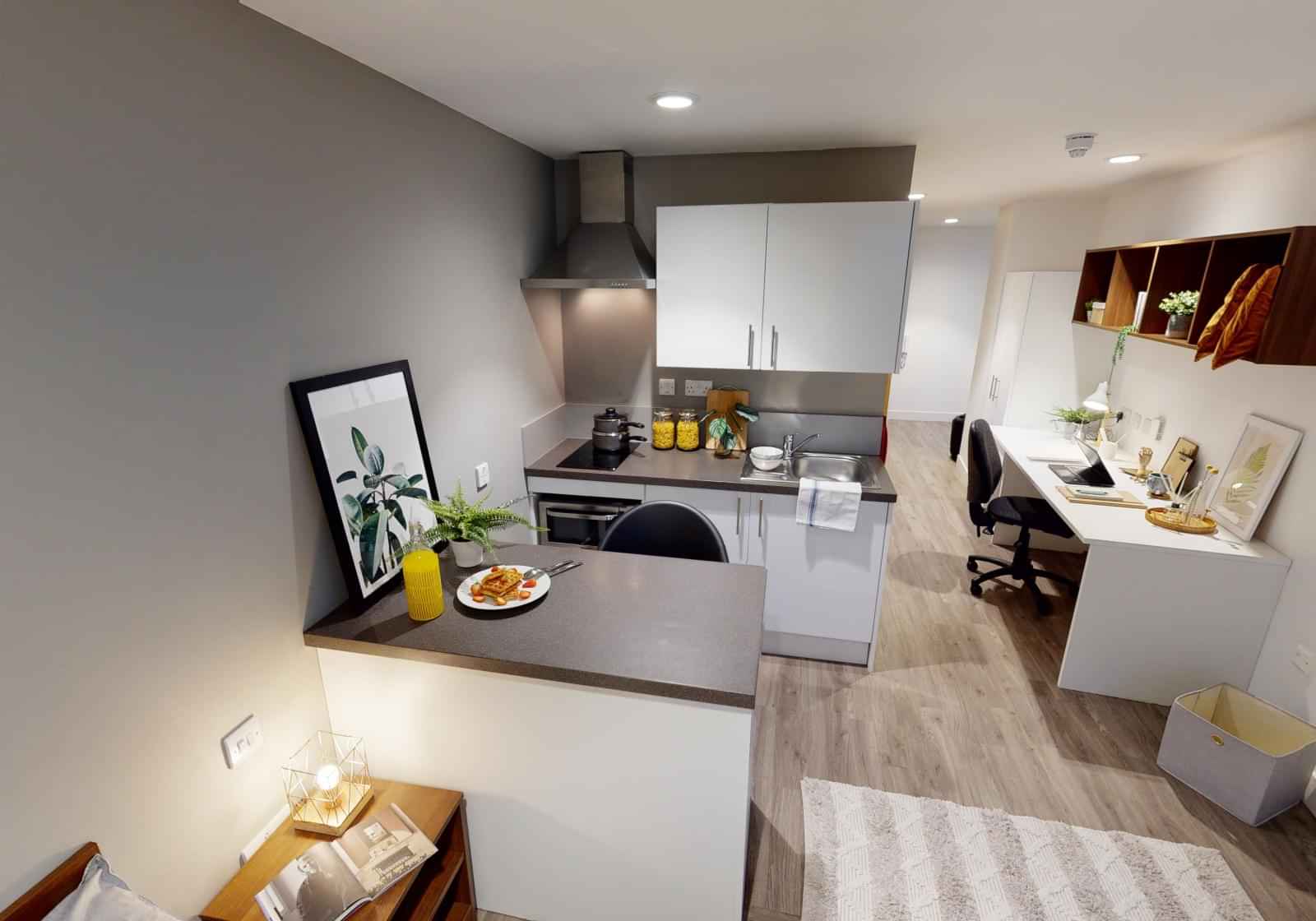 Platinum Studio Plus – Studio – Image 5