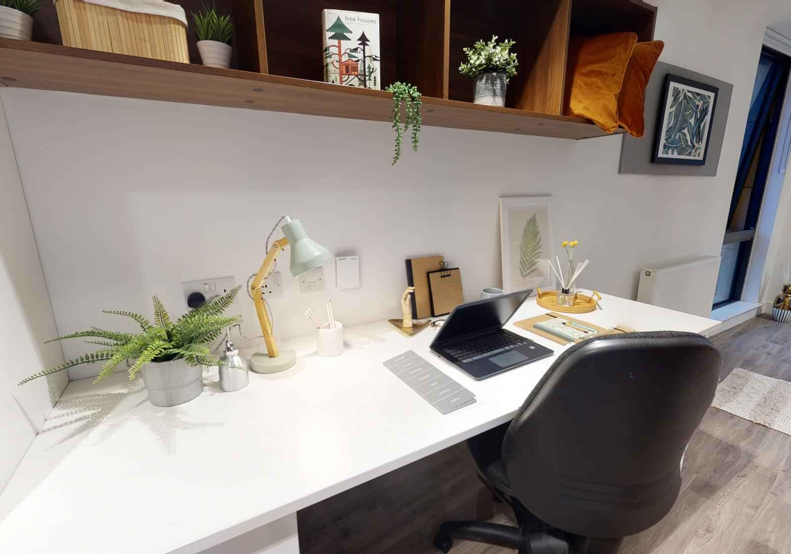 Platinum Studio Plus – Studio – Image 3