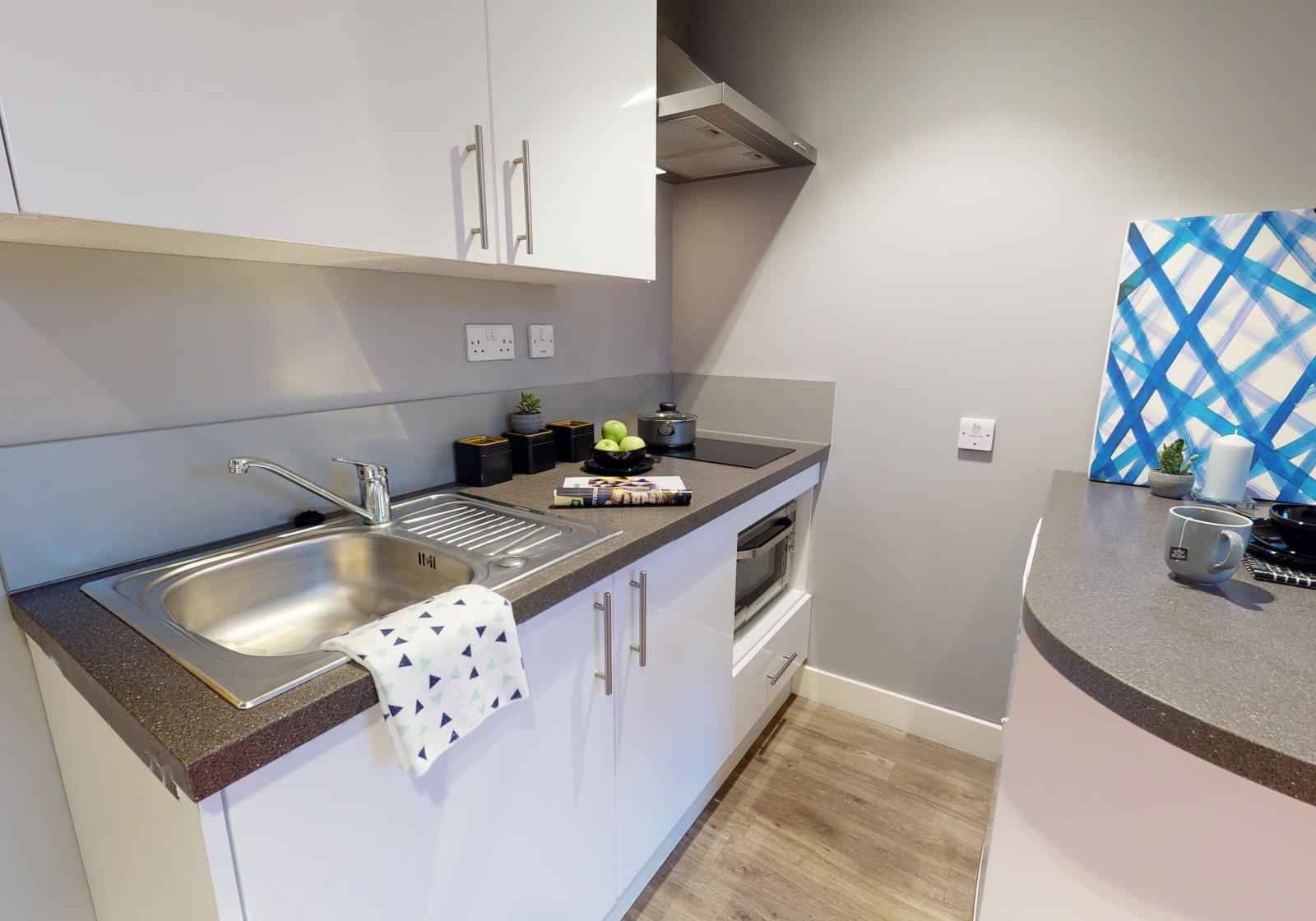 Bronze Studio Plus – Studio – Image 2