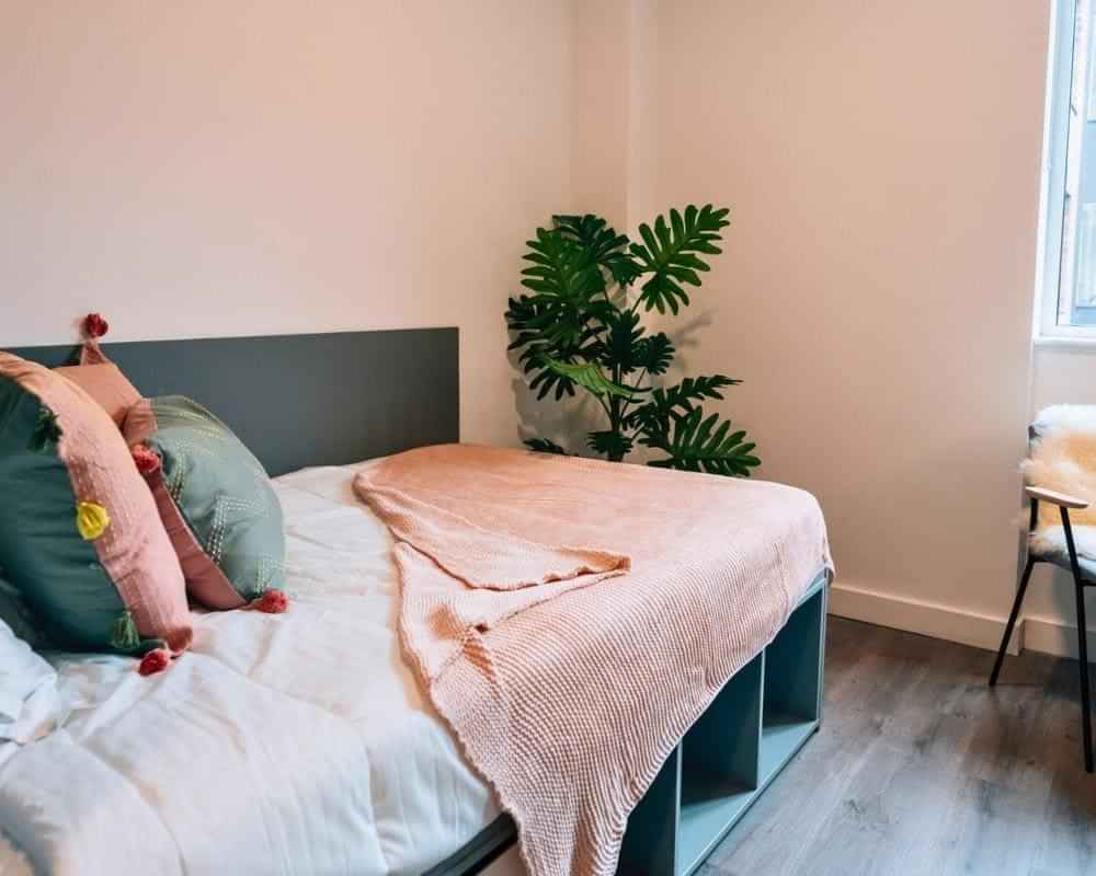 Deluxe Plus En-suite – Ensuite – Image 5